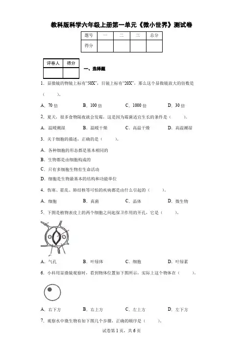 教科版科学六年级上册第一单元《微小世界》测试卷(后附答案)