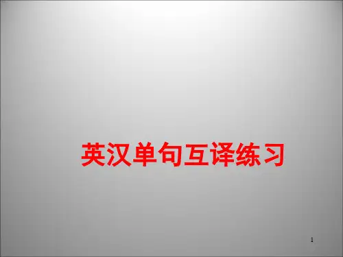 高考英语句子翻译练习ppt课件