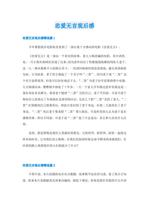 忠爱无言观后感