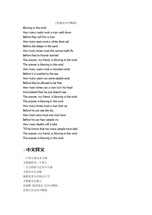 答案在风中飘歌词释意