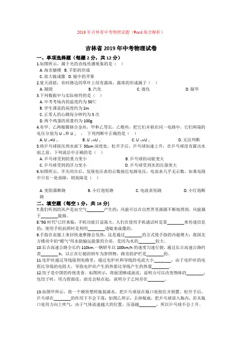 2019年吉林省中考物理试题(Word版含解析)