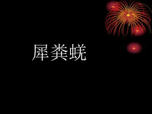 语文：第15课《犀粪蜣》课件(长春版七年级上)