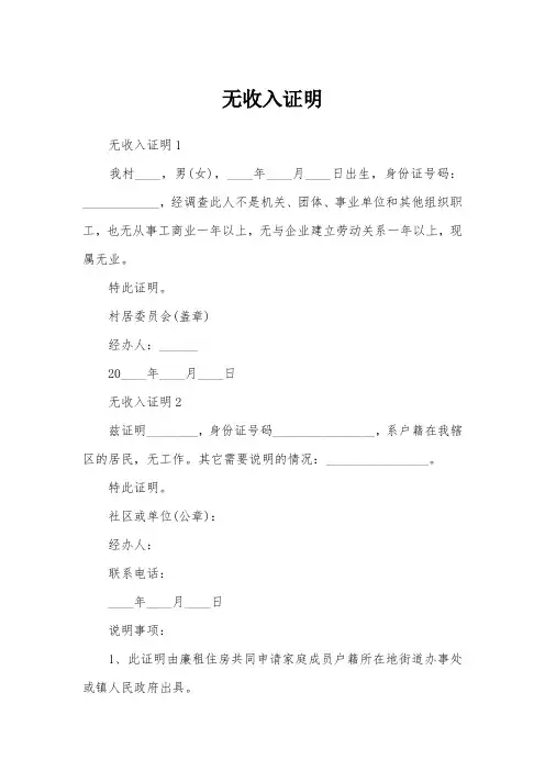 无收入证明