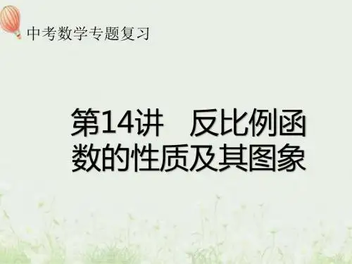 第14讲 反比例函数的性质及其图象