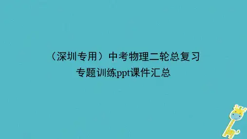 (深圳专用)中考物理二轮总复习：专题训练ppt课件汇总(含答案)