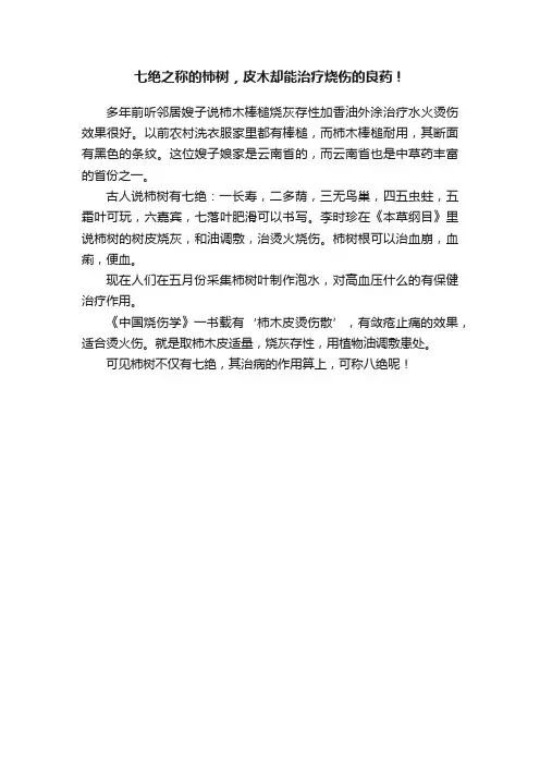 七绝之称的柿树，皮木却能治疗烧伤的良药！
