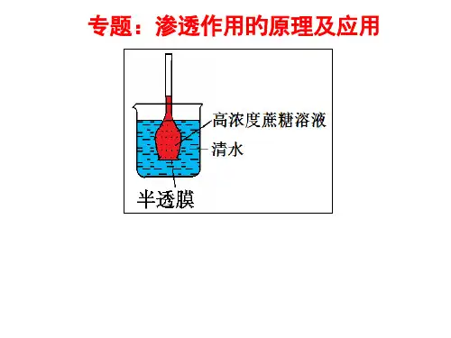 专题渗透作用的原理和应用