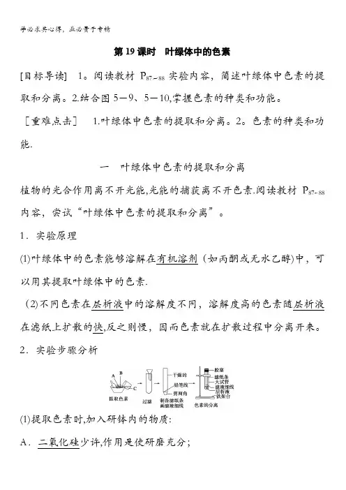 2016生物1习题：第5章 第19课时 叶绿体中的色素 含解析