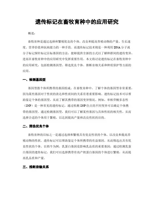 遗传标记在畜牧育种中的应用研究