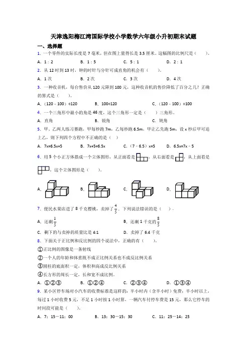 天津逸阳梅江湾国际学校小学数学六年级小升初期末试题