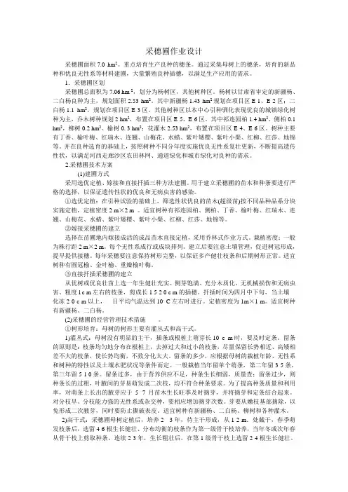 采穗圃作业设计