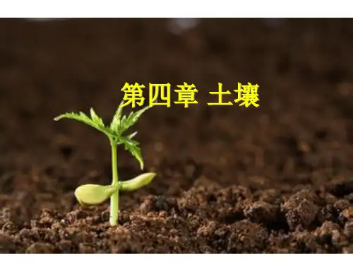 华师大版七年级科学化学下册第4章土壤综合课件