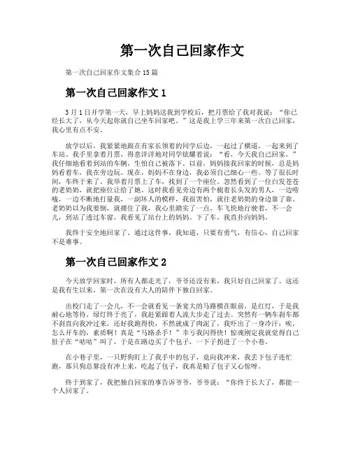 第一次自己回家作文