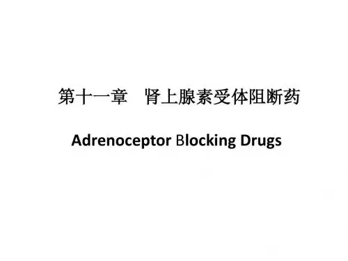 《药理学》第11章肾上腺素受体阻断药