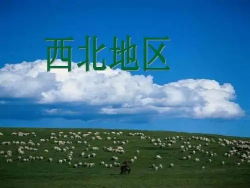 11.中国地理分区——西北地区