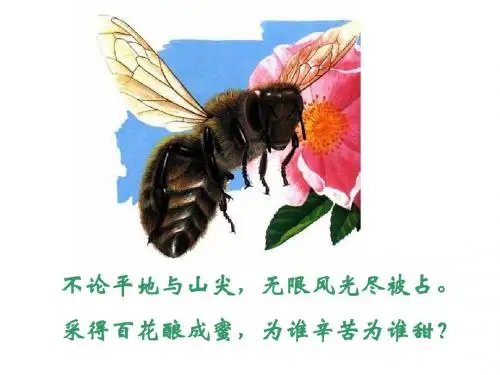 济南版生物八年级上册第四单元第一章第二节传粉和受精 (共25张PPT)