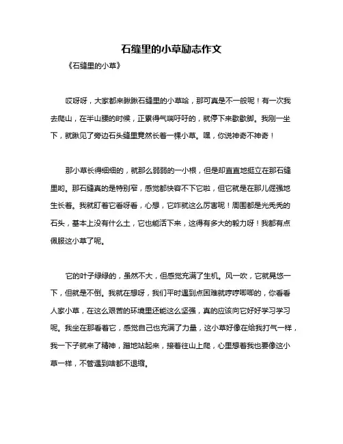 石缝里的小草励志作文