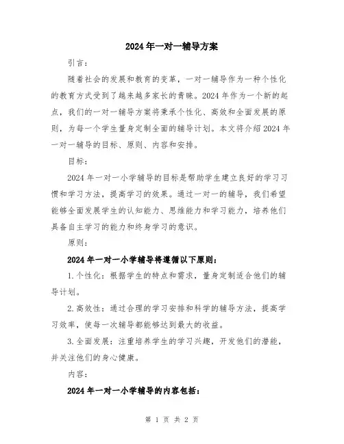 2024年一对一辅导方案