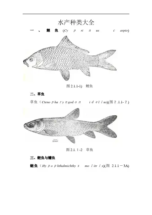 水产种类大全