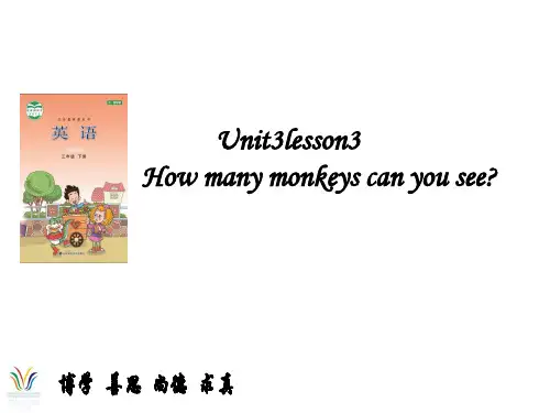 鲁科版英语小学三年级下册Unit 3《Lesson 3 How many monkeys can you see》课件