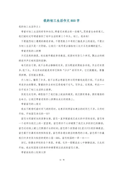 我的初三生活作文800字
