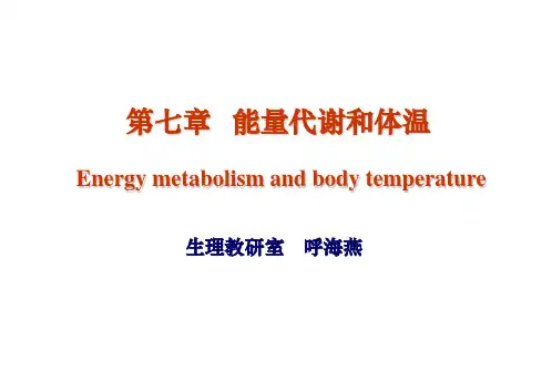 生理学经典ppt第七章 能量代谢与体温