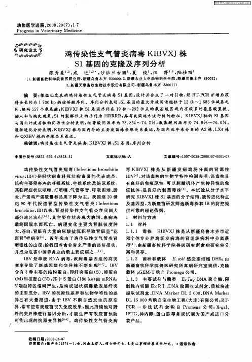 鸡传染性支气管炎病毒KIBVXJ株S1基因的克隆及序列分析