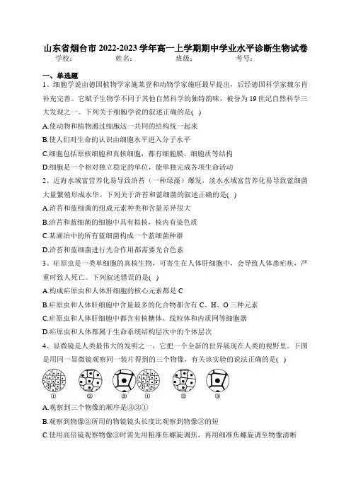 山东省烟台市2022-2023学年高一上学期期中学业水平诊断生物试卷(含答案)