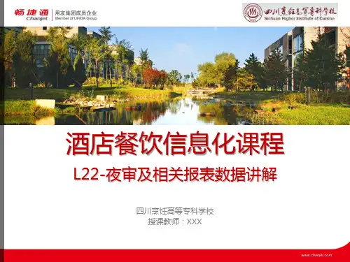 L22夜审及相关报表数据讲解