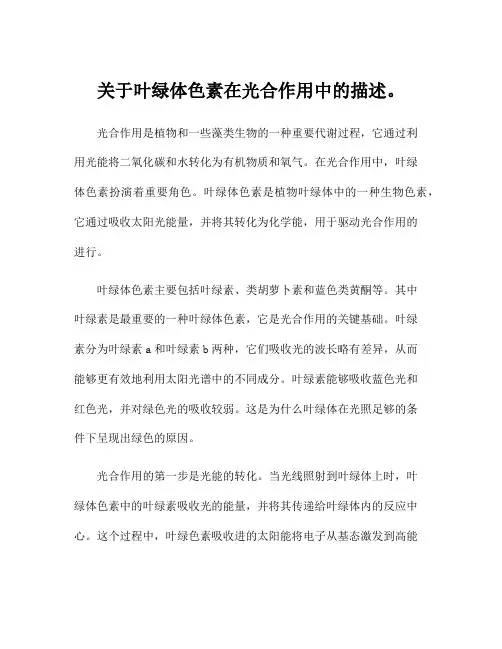 关于叶绿体色素在光合作用中的描述。