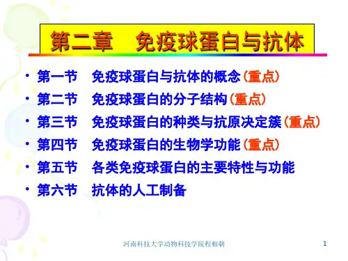 免疫球蛋白与抗体PPT演示课件