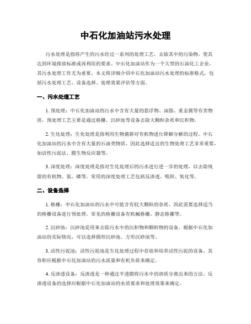 中石化加油站污水处理