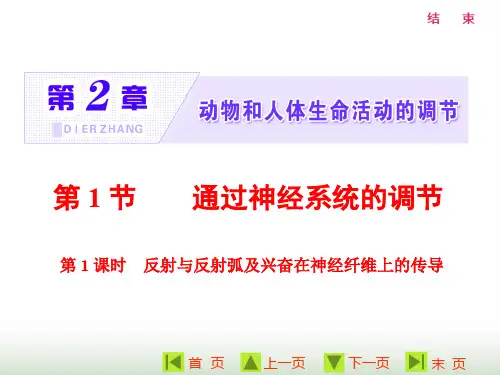 人教版高中生物必修三第2章第1节第1课时反射与反射弧及兴奋在神经纤维上的传导课件