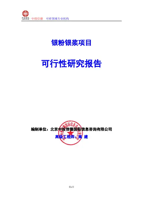 银粉银浆项目可行性研究报告编写格式及参考(模板word)