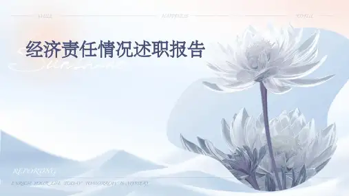 经济责任情况述职报告PPT