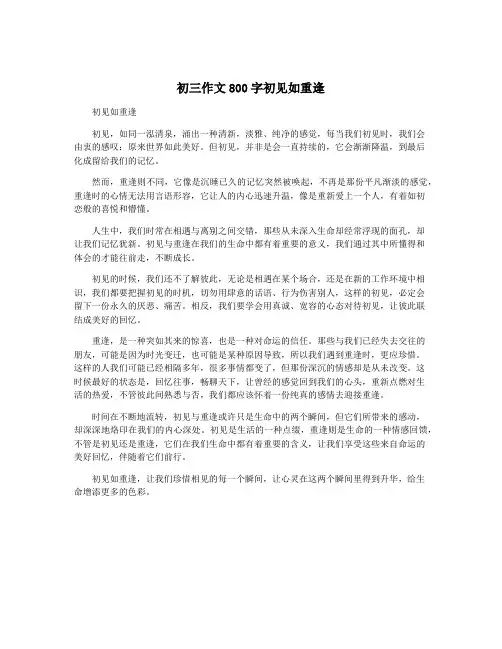 初三作文800字初见如重逢