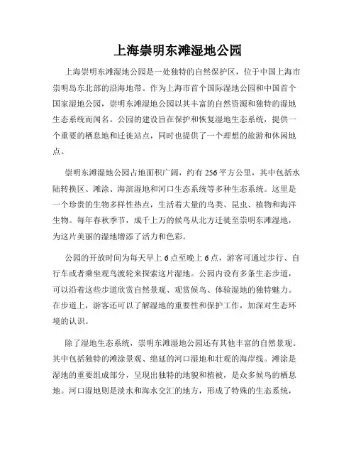 上海崇明东滩湿地公园