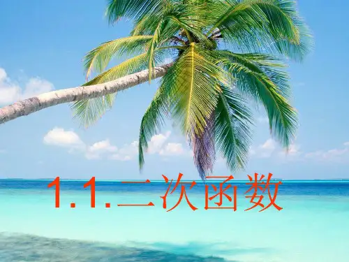 浙教版九年级上册 1.1 二次函数 课件(共24张PPT)