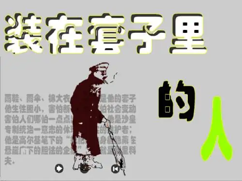 装在套子里的人