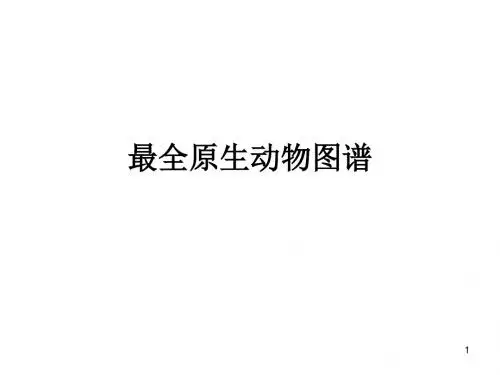 最全常见寄生虫图谱PPT参考课件