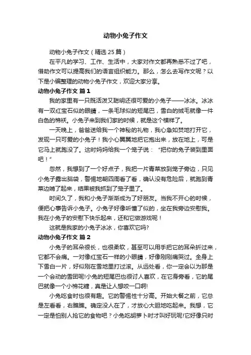 动物小兔子作文（精选25篇）