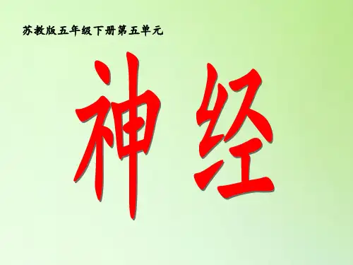 五年级科学下册教学课件5.2神经1苏教版