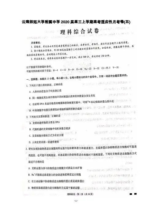 2020届云南师范大学附属中学高三上学期高考适应性月考卷(五)理科综合试题及答案详解