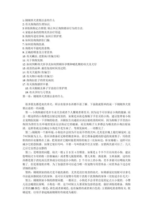 如何饲养狗狗