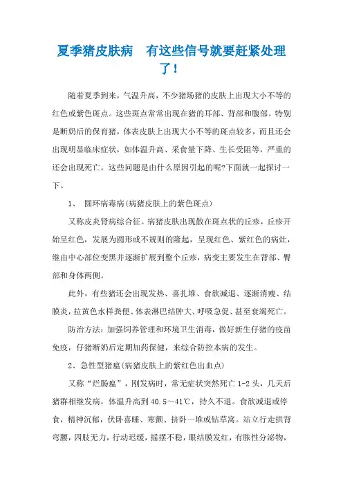 夏季猪皮肤病 有这些信号就要赶紧处理了!