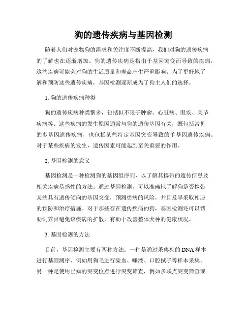 狗的遗传疾病与基因检测