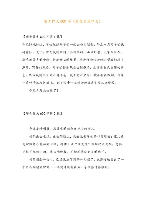 踏青作文600字(推荐3篇作文)