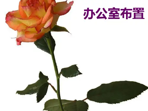 办公室布置.ppt