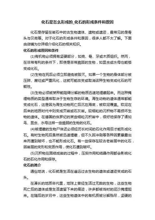 化石是怎么形成的_化石的形成条件和原因