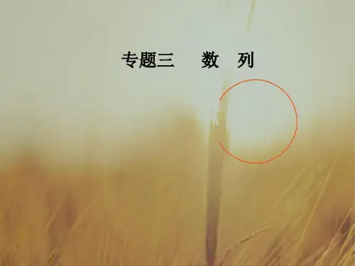 2018高考新课标数学理二轮专题复习课件：专题三第2讲数列求和及综合应用 精品